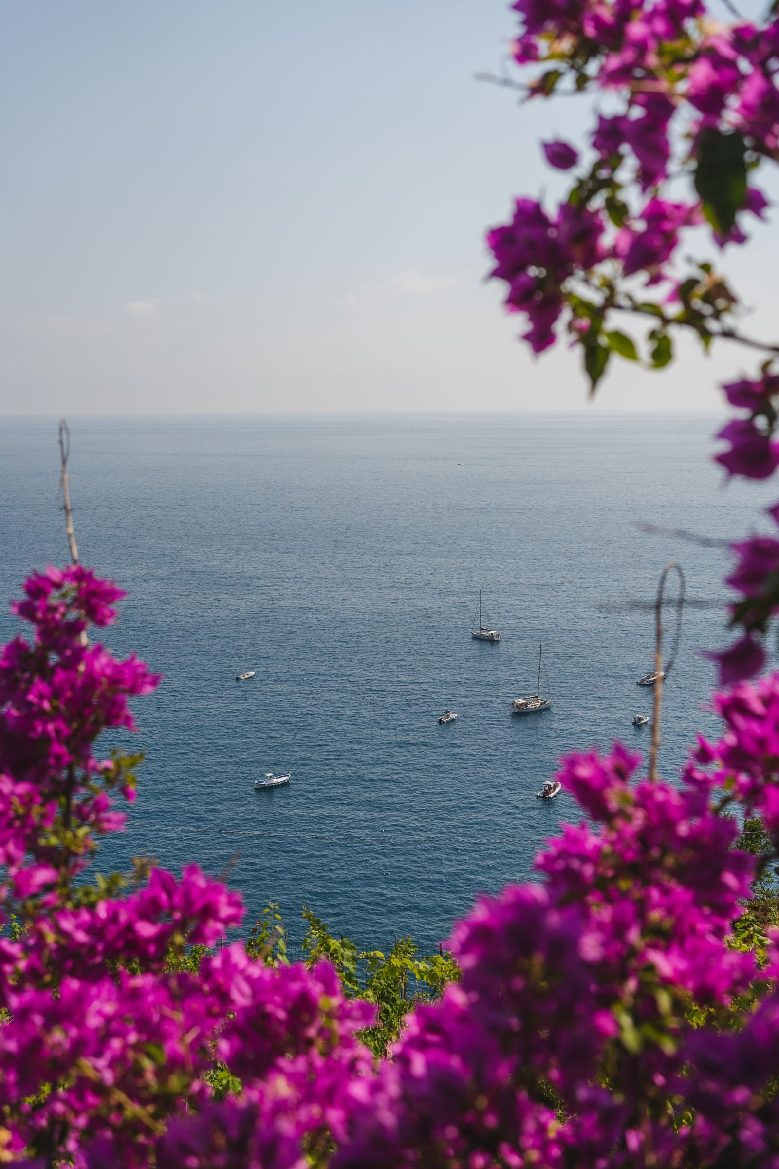 Mediterranean coastline viewed from Aurelia House